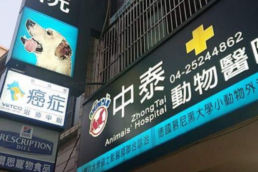 中泰動物醫院