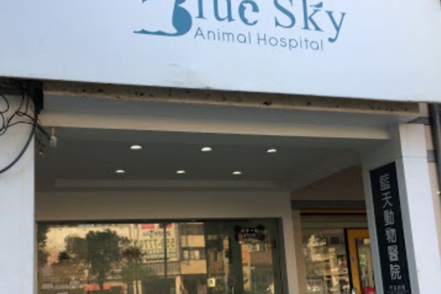 藍天動物醫院