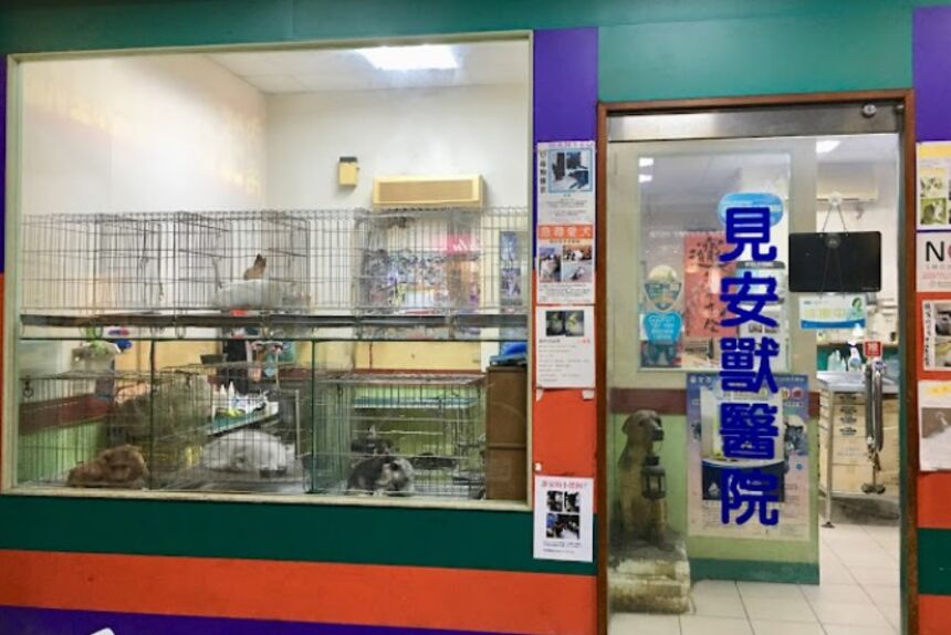 見安動物醫院