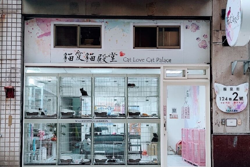貓愛貓殿堂cat love cat palace