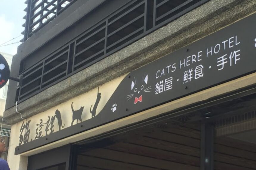 貓這裡 CATs HereHotel x 貓旅館
