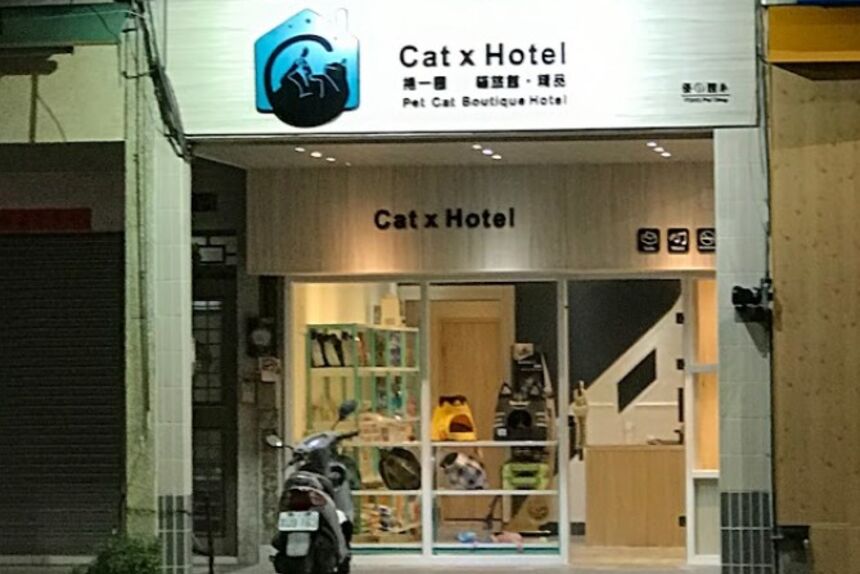 Cat X Hotel 捲一圈 貓旅館‧精品