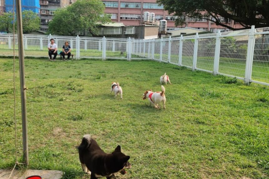 華山公園狗活動區