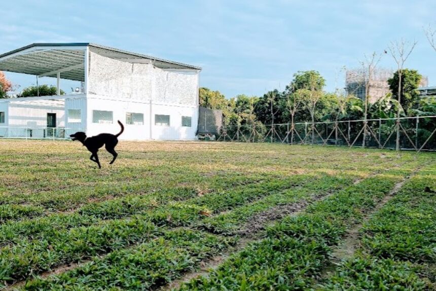 Lazy Dog 來隻狗寵物樂園